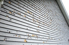 siding damaged by hail