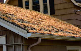 Autumn leaves covering an old worn out roof as well as the gutter